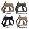 Dog Harness and Leash Set With Nylon Handle