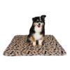 Multipurpose Waterproof Dog Mat